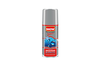 Mini Protector Spray